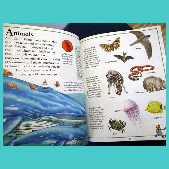 Book: Kingfisher's Ultimate First Encyclopedia for Children - Picture 6 of 16